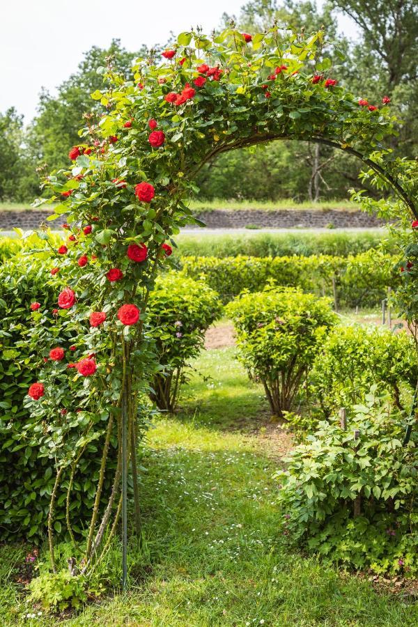 Clos Fleuri : Amboise Home With Amazing Gardens Dış mekan fotoğraf